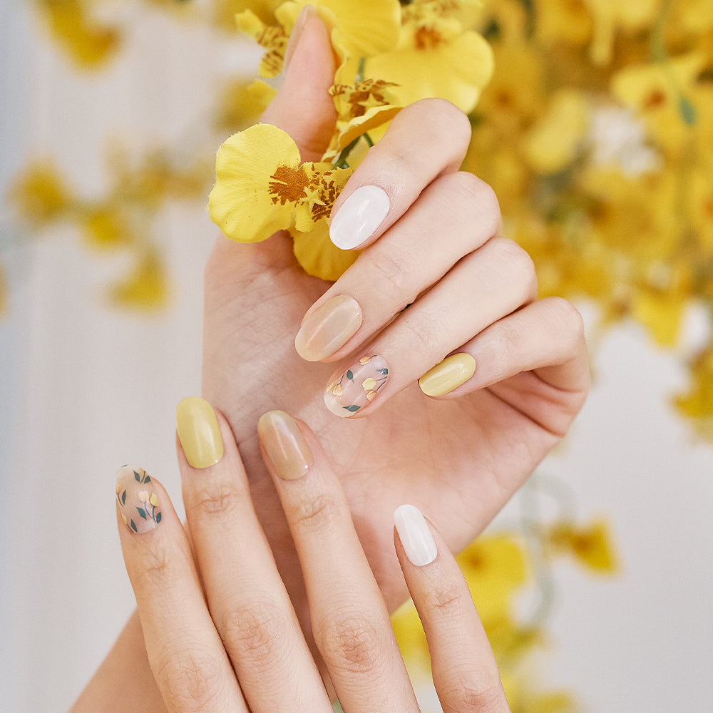 Hand 16pcs – ÉDGEU